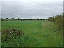 TM1216 : Farmland near St Osyth by JThomas