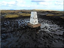 SK0885 : Brown Knoll Trigpoint by Brian Frost