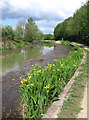 Bilston - Wednesbury Oak Loop Canal near Loxdale