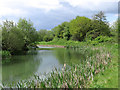 Bilston - bend in canal at Daisy Bank