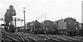 Locomotive Yard at Stoke in latter days of Steam, with just 