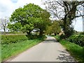 Pinfold Lane