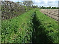 Drain beside the A1133