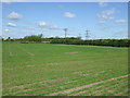 Farmland off the A1133