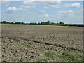 Farmland off Norton Road