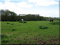 Fields near Raglan Garden Centre