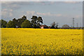 Oilseed Rape at Fledborough