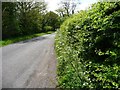 Back Lane, from the passing place