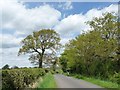 Cyclist on Back Lane