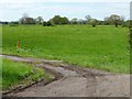 Farmland west of Back Lane