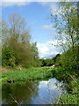 The Hatherton Branch Canal at Calf Heath, Staffordshire