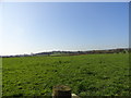 View across the fields west of Lamesley