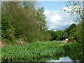 The Hatherton Branch Canal at Calf Heath, Staffordshire