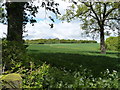 Farmland with Home Wood in the distance