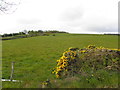 Corlea Townland