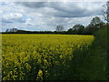 Farmland, Swinderby