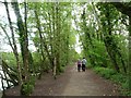 Walking the dogs at Shakerley Mere