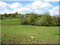 The southern edge of Builth Wells