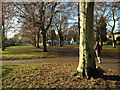 SP2864 : St Nicholas Park, main walk and amusements by Robin Stott