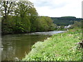 The River Wye at Boughrood