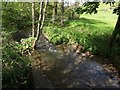 The River Lemon from bridge next to the A383