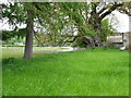 Standing water at Glasbury Farm