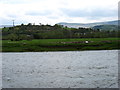 The River Wye near Glasbury