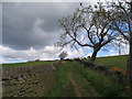 Bridleway going north from Well House