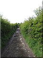 The muddy middle section of the unnamed lane linking Divernagh and Chapel Roads