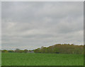 Farmland towards New Hall