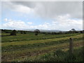 Hayfields alongside Mcclenaghans Hill