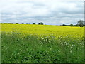 Farmland off London Road