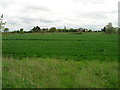 Farmland towards the A14