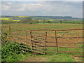 Gate to roadside field on the way to Hanwell