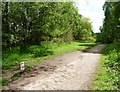 Pipeline marker, Shakerley Mere