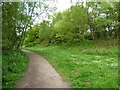 Footpath at southern corner of Shakerley Mere