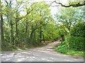 Private track and public footpath to Hales Pasture