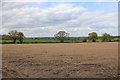 Footpath to Grange Farm?