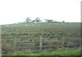 NZ0846 : Mount Pleasant Farm by Stanley Howe