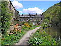 Canalside houses