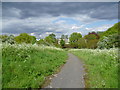 View from Mill Hill, Mitcham Common