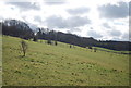 Valley side above Capstone