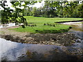 Meander on the River Clywedog