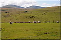 View to Carmarthen Fan