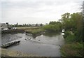 Abbey Creek - low tide