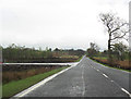 Forestry clearance area at Biggart