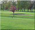 SK6102 : Leicestershire Golf Club by Mat Fascione