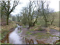 Near the ford over the river near Pantyrhuad Farm