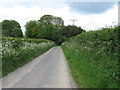 Hawkhurst Lane towards Silveroaks Farm