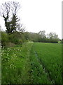 Footpath along the field edge towards Watling Street